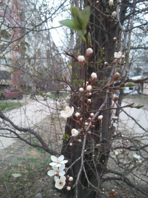 Прикрепленное изображение: f1.jpg